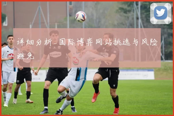 详细分析_国际博弈网站挑选与风险避免