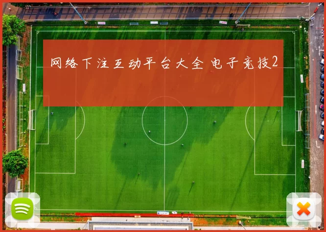 网络下注互动平台大全 电子竞技2