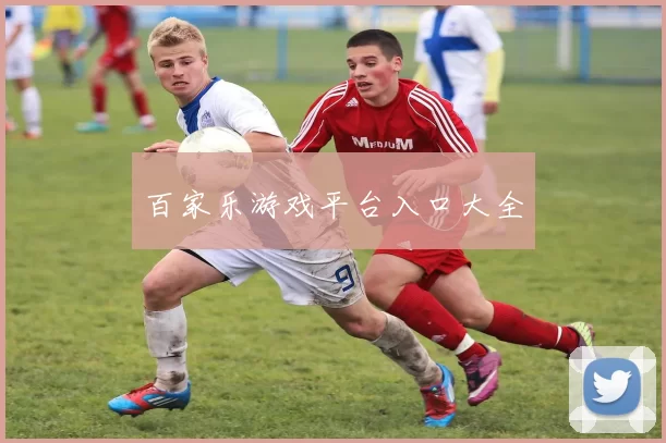 百家乐游戏平台入口大全