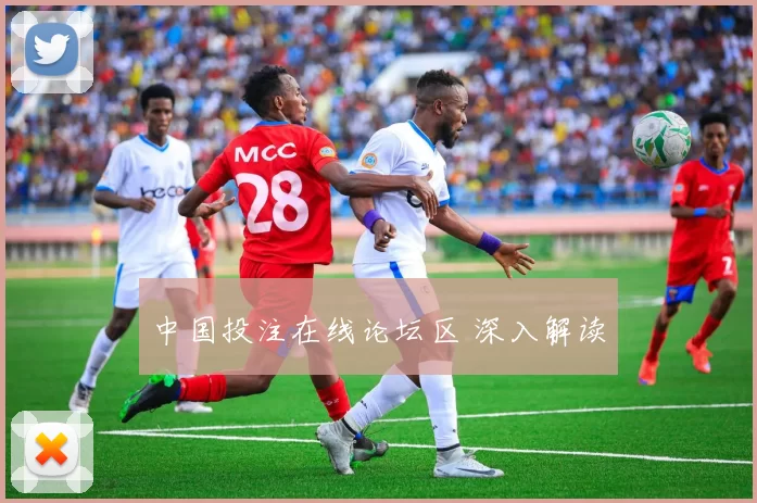 中国投注在线论坛区 深入解读