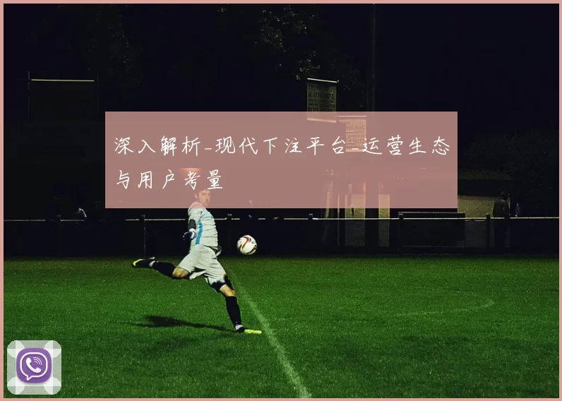 深入解析_现代下注平台_运营生态与用户考量