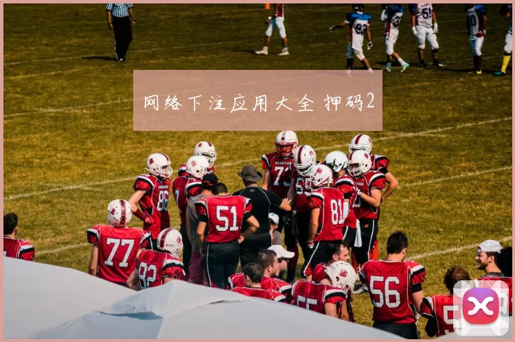 网络下注应用大全 押码2