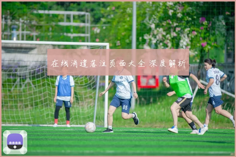 在线消遣落注页面大全 深度解析