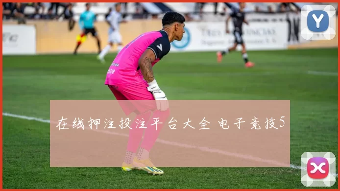 在线押注投注平台大全 电子竞技5