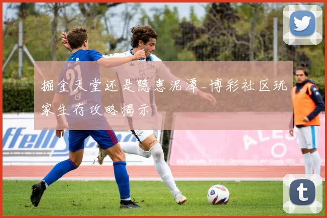 掘金天堂还是隐患泥潭_博彩社区玩家生存攻略揭示