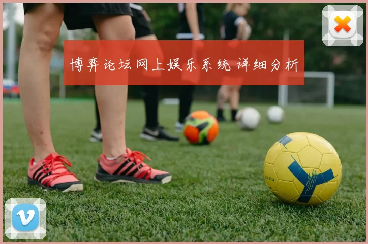 博弈论坛网上娱乐系统 详细分析